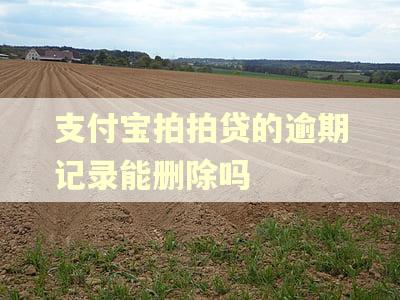支付宝拍拍贷的逾期记录能删除吗