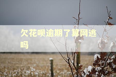 欠花呗逾期了算网逃吗