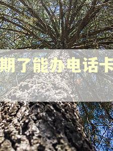 逾期了能办电话卡吗？