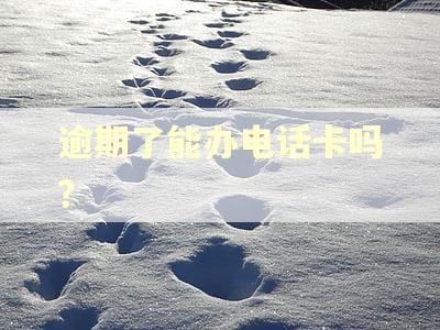 逾期了能办电话卡吗？