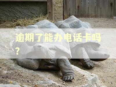 逾期了能办电话卡吗？