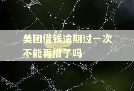 美团借钱逾期过一次不能再借了吗
