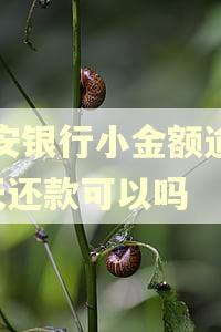 平安银行小金额逾期5天还款可以吗