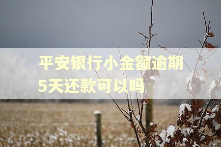 平安银行小金额逾期5天还款可以吗 平安银行小金额逾期5天还款可以吗
