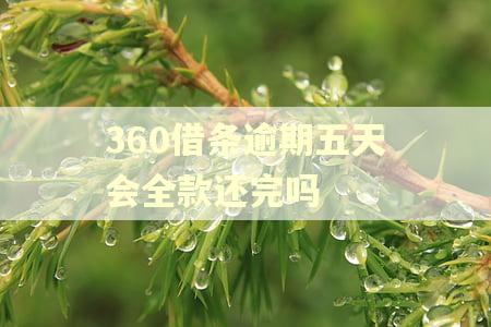 360借条逾期五天会全款还完吗