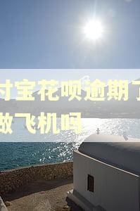 支付宝花呗逾期了可以做飞机吗