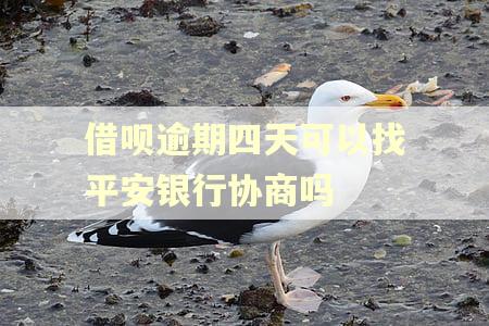 借呗逾期四天可以找平安银行协商吗