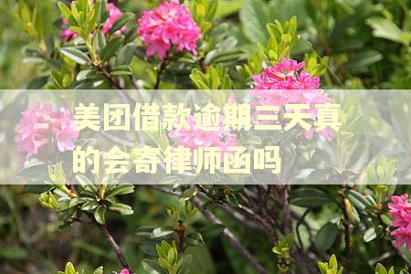 美团借款逾期三天真的会寄律师函吗