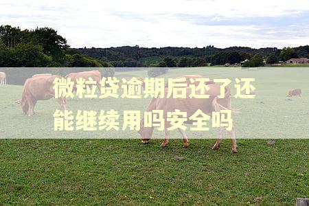 微粒贷逾期后还了还能继续用吗安全吗