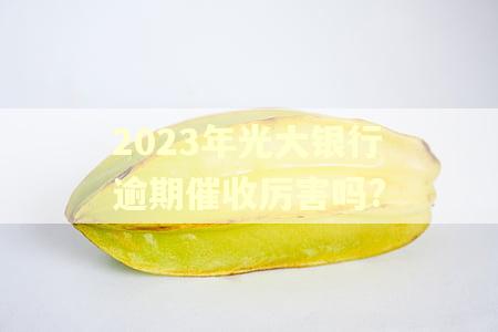 2023年光大银行逾期催收厉害吗?