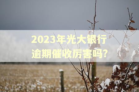 2023年光大银行逾期催收厉害吗?