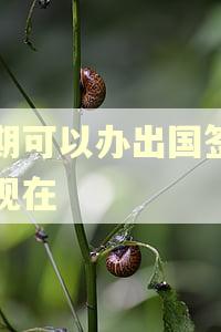 逾期可以办出国签证吗现在