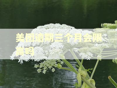 美团逾期三个月会限高吗