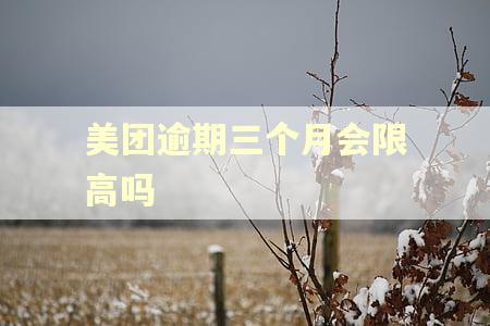 美团逾期三个月会限高吗