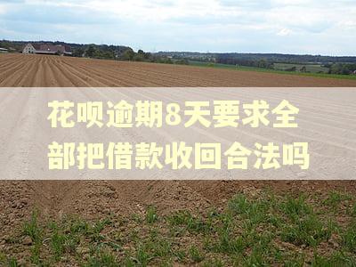 花呗逾期8天要求全部把借款收回合法吗 花呗逾期8天要求全部把借款收回合法吗