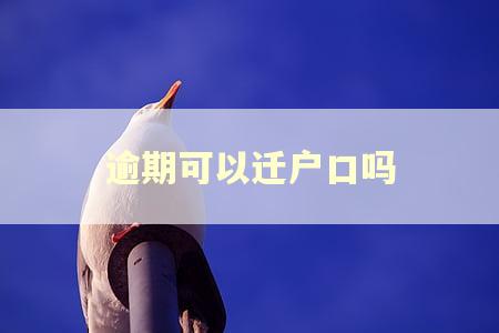 逾期可以迁户口吗