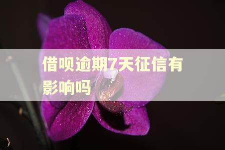 借呗逾期7天征信有影响吗