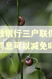 邮政银行三户联保逾期罚息可以减免吗