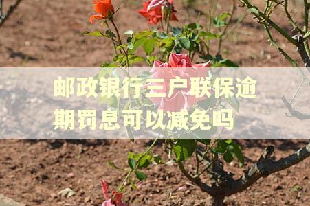 邮政银行三户联保逾期罚息可以减免吗