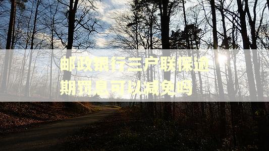 邮政银行三户联保逾期罚息可以减免吗