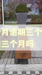 一个月逾期三个账户算连三个月吗