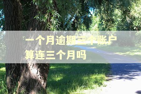 一个月逾期三个账户算连三个月吗
