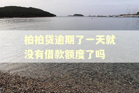 拍拍贷逾期了一天就没有借款额度了吗