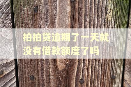 拍拍贷逾期了一天就没有借款额度了吗 拍拍贷逾期了一天就没有借款额度了吗