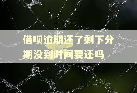 借呗逾期还了剩下分期没到时间要还吗
