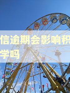 征信逾期会影响积分入学吗