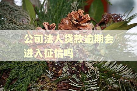 公司法人贷款逾期会进入征信吗 公司法人贷款逾期会进入征信吗