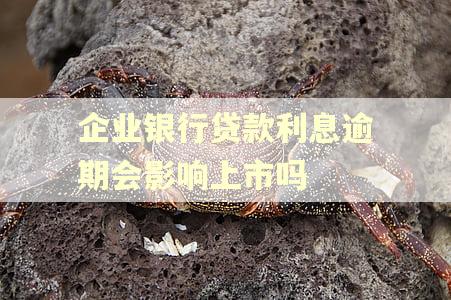 企业银行贷款利息逾期会影响上市吗