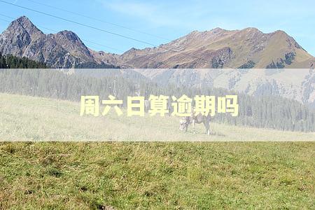 周六日算逾期吗