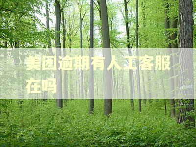 美团逾期有人工客服在吗