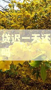 邮享贷迟一天还款算逾期吗