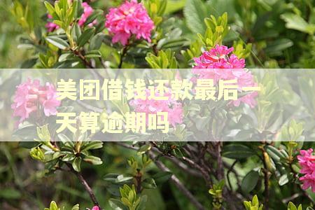 美团借钱还款最后一天算逾期吗
