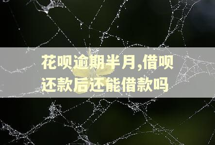 花呗逾期半月,借呗还款后还能借款吗