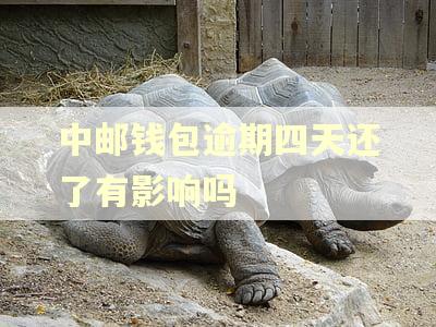 中邮钱包逾期四天还了有影响吗