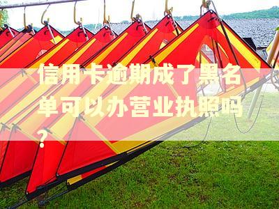 信用卡逾期成了黑名单可以办营业执照吗?