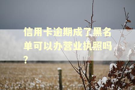 信用卡逾期成了黑名单可以办营业执照吗?