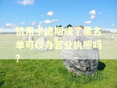 信用卡逾期成了黑名单可以办营业执照吗?