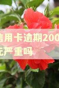 信用卡逾期2000元严重吗 信用卡逾期2000元严重吗