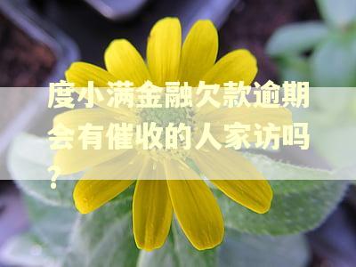 度小满金融欠款逾期会有催收的人家访吗?