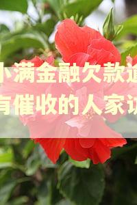 度小满金融欠款逾期会有催收的人家访吗?