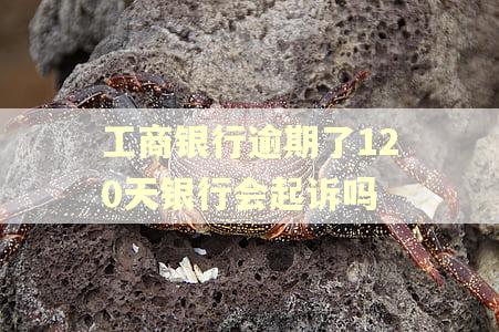 工商银行逾期了120天银行会起诉吗