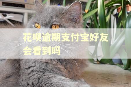 花呗逾期支付宝好友会看到吗