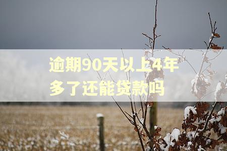逾期90天以上4年多了还能贷款吗