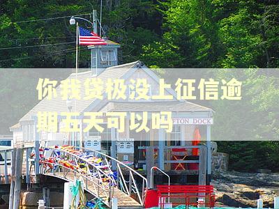 你我贷极没上征信逾期五天可以吗