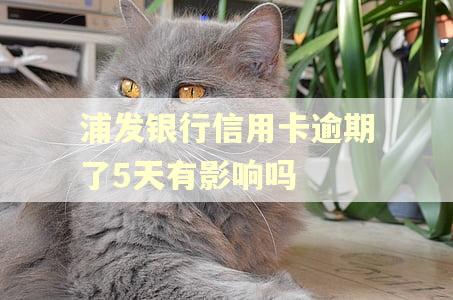 浦发银行信用卡逾期了5天有影响吗