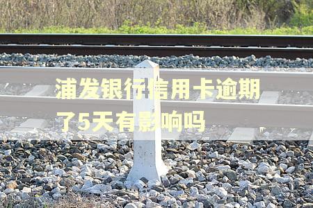 浦发银行信用卡逾期了5天有影响吗